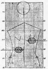 Fig. 165