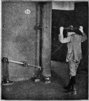 Fig. 171