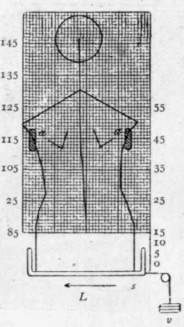 Fig. 175