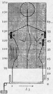 Fig. 176