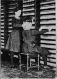 Fig. 88