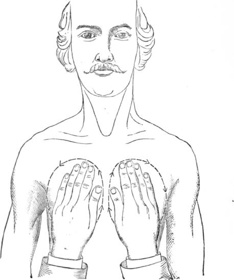 Fig. 2.   Stroking with Both Hands.