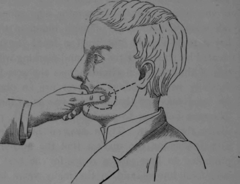 Fig. 21.   Massage of the Face.
