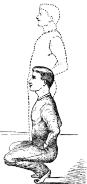 Fig. 85.