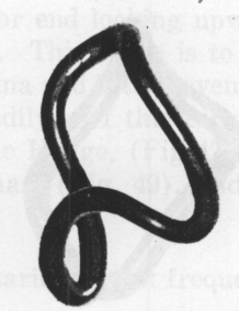 Fig. 52. Byford Smith.