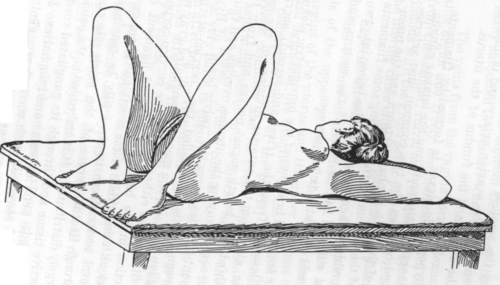 Fig. 6. Dorsal Position
