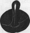 Fig. 64. Soft Rubber Stem Pessary.
