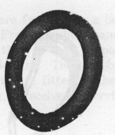 Pig. 54. Rubber Covered Spring Wire Pessary.