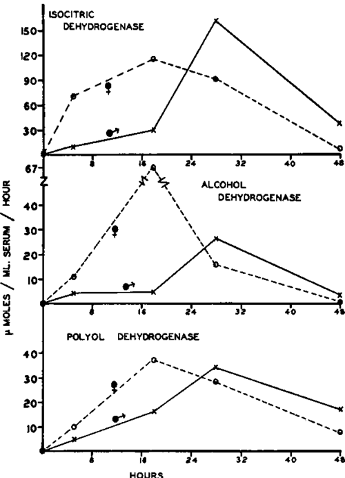 Changes in serum enzyme levels after the administration of a single dose of carbon tetrachloride to the rat