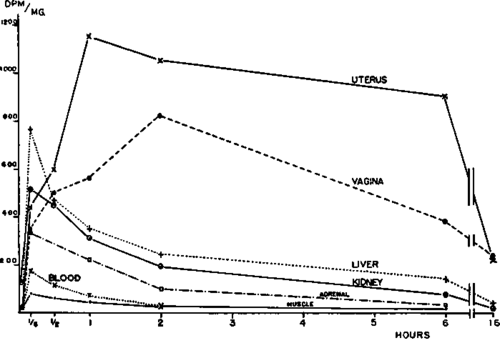 Concentration of radioactivity in rat tissues after single subcutaneous injection