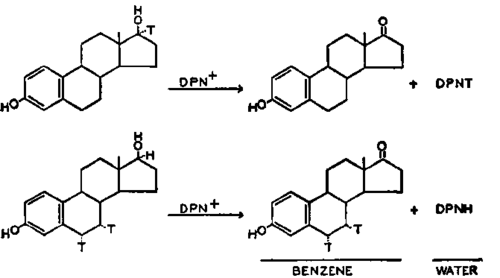 Enzymatic analysis of mixture