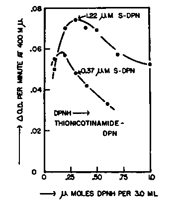 The rate of hydrogen transfer from DPNH to the thionicotinamide