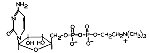 The structure of cytidine diphosphate choline