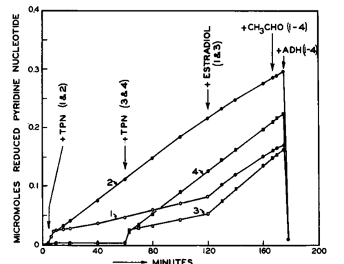 Time course of the formation of reduced pyridine nucleotides