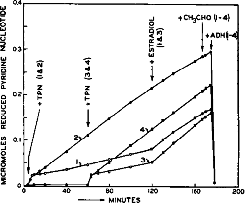 Time course of the formation of reduced pyridine nucleotides