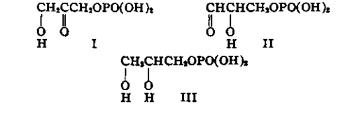 chemical structure such as the phosphonic acid group