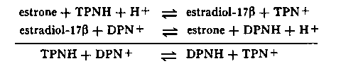 identity with the 178 hydroxysteroid dehydrogenase, reacting