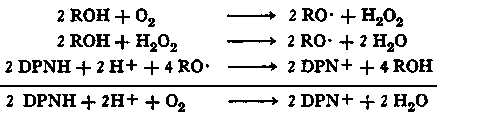 stoichiometry of DPNH oxidation and oxygen utilization