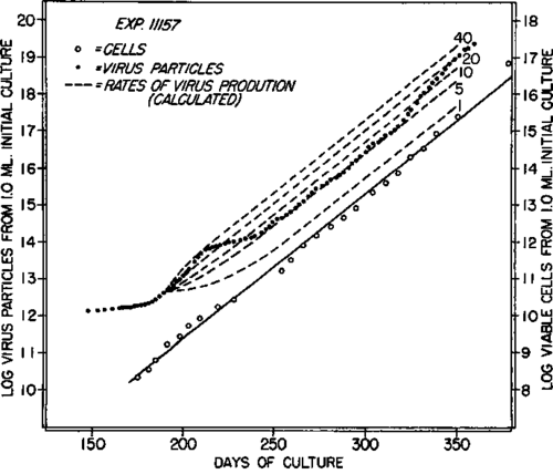 Analysis by application of equation 4 of the data of a portion of the experiment