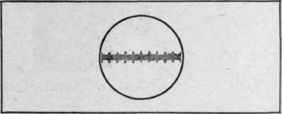 Stage Micrometer.