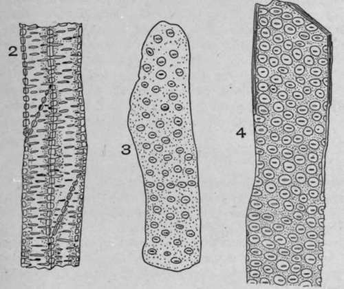 Vessels.