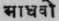 A Glossary Of Indian Plants Mentioned In Sanskrit  1146