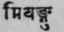 A Glossary Of Indian Plants Mentioned In Sanskrit  1244