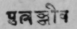 A Glossary Of Indian Plants Mentioned In Sanskrit  1252