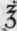 Aristolochia 90