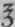 Capsicum 114