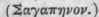 Sagapenum 346