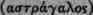 Tragacamntha Tragacanth 426