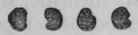Fig. 212.   Stramonium seeds.