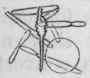 Fig. 25. A group of conidia which have caused the leucocytes surrounding a spore to dissolve,