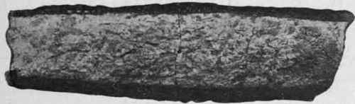 Fig. 118. Cusparia bark, showing buff spongy cork and obliquely cut edges. Natural size.