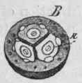 Source Etc 113