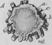 Source Etc 262