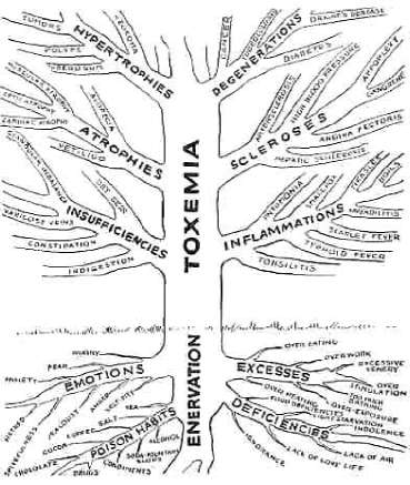 Old Norse conception figured all existence under the figure of a tree
