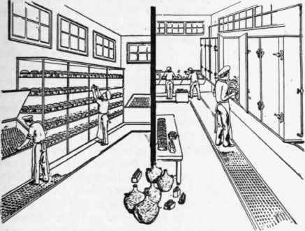 Milk Room and Coolers for modifying materials.