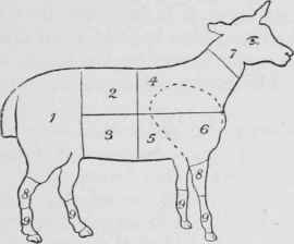 Explanation of Scotch made of cutting up a sheep.