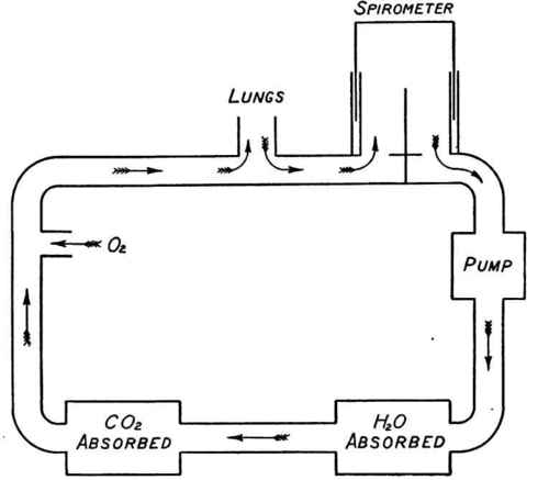 Diagram of Benedict respiration apparatus. Courtesy of Dr. F. G. Benedict.