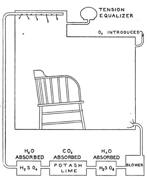 Diagram of ventilation of respiration calorimeter.
