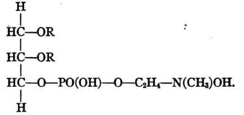 Fats And Lipoids As Body Constituents 10