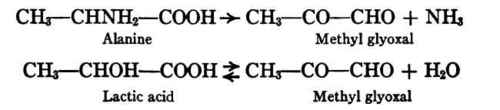Formation Of Carbohydrate From Protein 32
