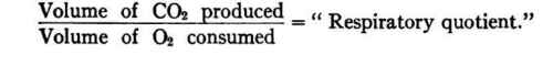 Oxidation Of Carbohydrate 30