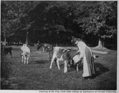Fig. 129.   Marjone Allen and her new work and play.