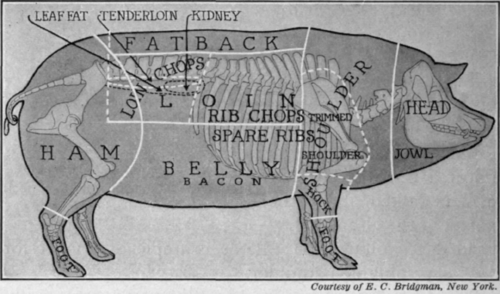 Fig. 91   Cuts of pork.