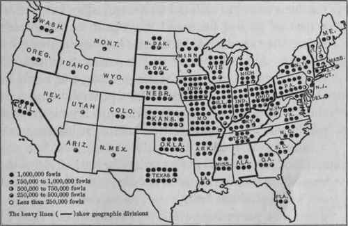 ALL FOWLS ON FARMS 1910.