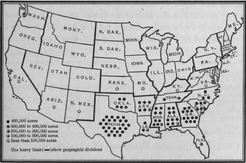 COTTON (COTTONSEED OIL) ACREAGE BY STATES 1909.