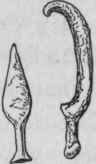 Development Of Humanity And Evolution Of Human Foo 134